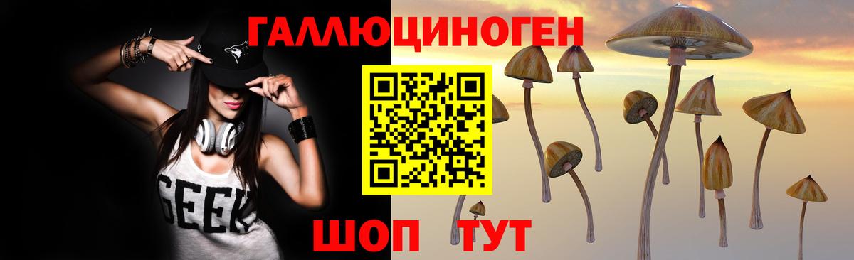 Псилоцибиновые грибы Psilocybine cubensis  Вход с VPN  Лянтор 